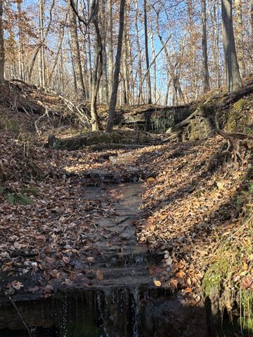 298 Leonard Jackson Rd, Waynesboro, TN 38485