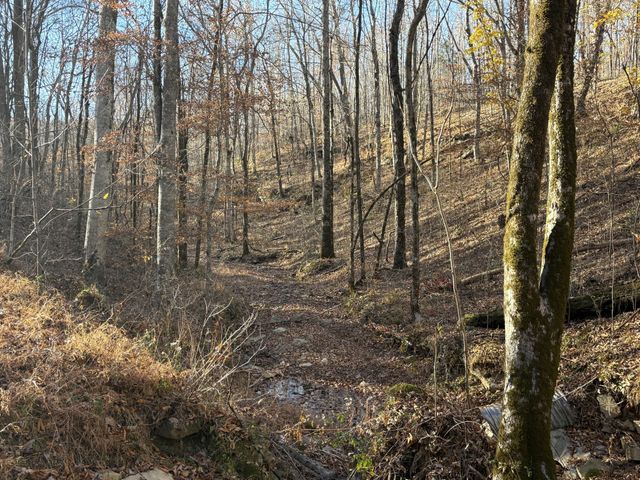 298 Leonard Jackson Rd, Waynesboro, TN 38485