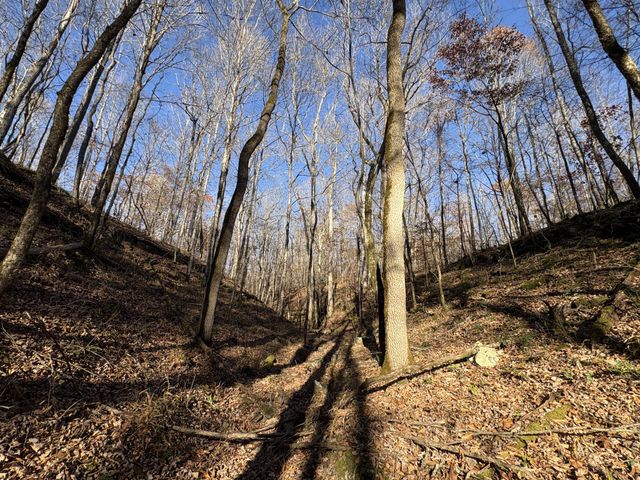 298 Leonard Jackson Rd, Waynesboro, TN 38485