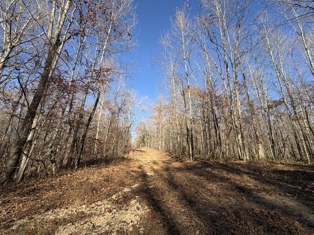 298 Leonard Jackson Rd, Waynesboro, TN 38485