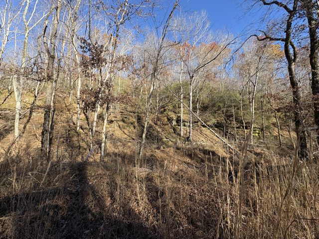 298 Leonard Jackson Rd, Waynesboro, TN 38485