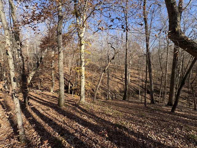 298 Leonard Jackson Rd, Waynesboro, TN 38485