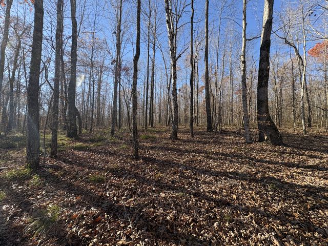 298 Leonard Jackson Rd, Waynesboro, TN 38485