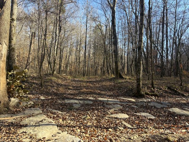 298 Leonard Jackson Rd, Waynesboro, TN 38485