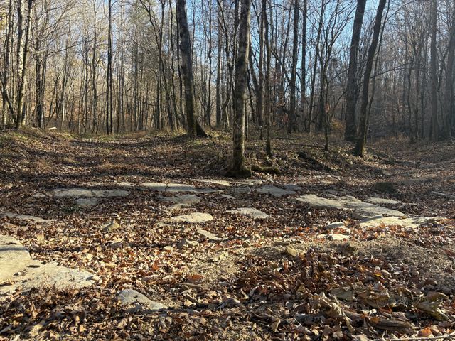 298 Leonard Jackson Rd, Waynesboro, TN 38485