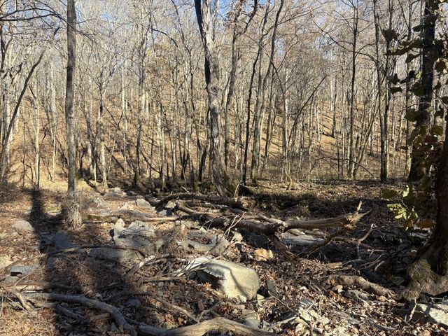 298 Leonard Jackson Rd, Waynesboro, TN 38485