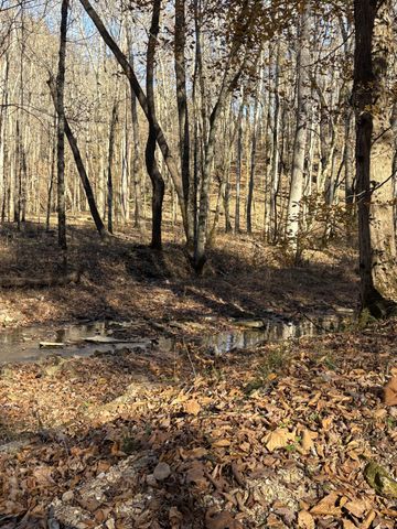 298 Leonard Jackson Rd, Waynesboro, TN 38485