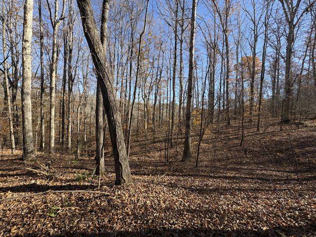 298 Leonard Jackson Rd, Waynesboro, TN 38485