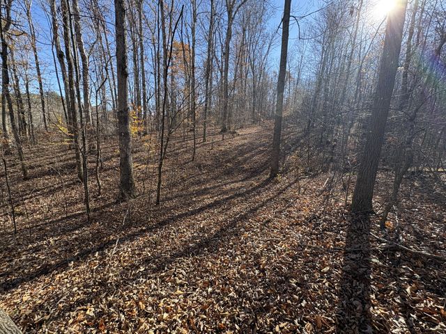 298 Leonard Jackson Rd, Waynesboro, TN 38485