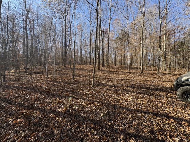 298 Leonard Jackson Rd, Waynesboro, TN 38485