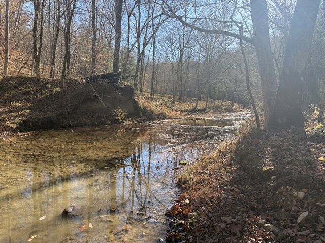 298 Leonard Jackson Rd, Waynesboro, TN 38485