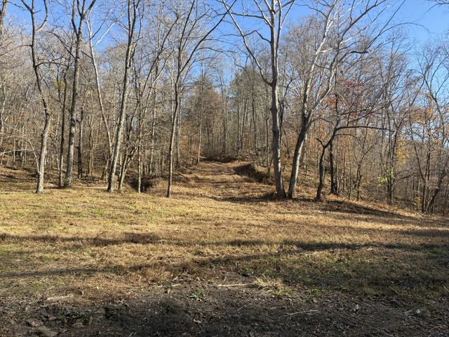 298 Leonard Jackson Rd, Waynesboro, TN 38485