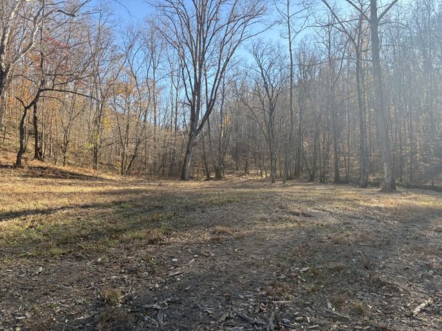 298 Leonard Jackson Rd, Waynesboro, TN 38485