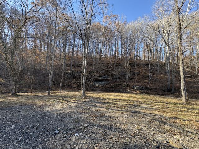 298 Leonard Jackson Rd, Waynesboro, TN 38485