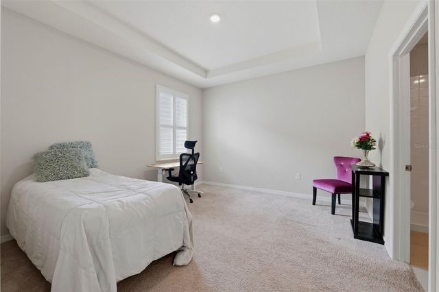 32337 CONCHSHELL SAIL STREET, Wesley Chapel, FL 33545