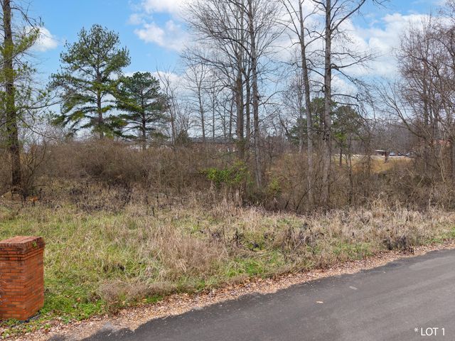 Lot 1 Fountain Way, Somerset, KY 42501