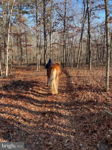 11 PRINCETON AVE, Egg Harbor Township, NJ 08234