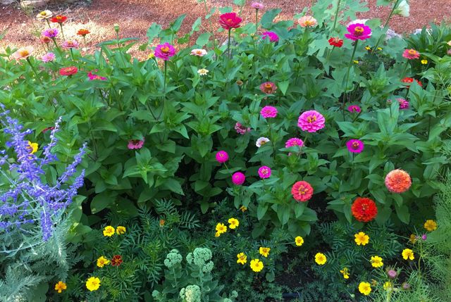 7 Cibola Circle, Santa Fe, NM 87505