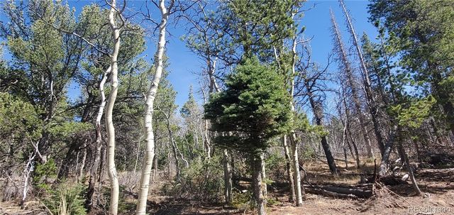 Lot 2560 Grojean Drive, Fort Garland, CO 81133