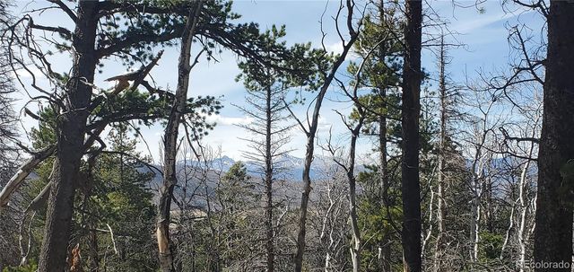 Lot 2560 Grojean Drive, Fort Garland, CO 81133