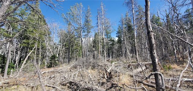 Lot 2560 Grojean Drive, Fort Garland, CO 81133