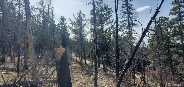 Lot 2560 Grojean Drive, Fort Garland, CO 81133