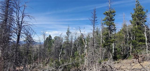 Lot 2560 Grojean Drive, Fort Garland, CO 81133