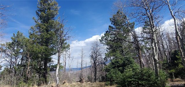 Lot 2560 Grojean Drive, Fort Garland, CO 81133