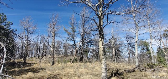 Lot 2560 Grojean Drive, Fort Garland, CO 81133