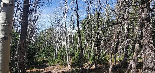 Lot 2560 Grojean Drive, Fort Garland, CO 81133