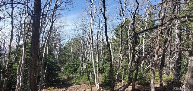 Lot 2560 Grojean Drive, Fort Garland, CO 81133
