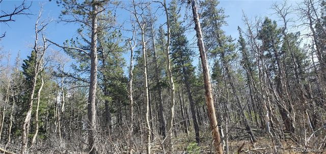 Lot 2560 Grojean Drive, Fort Garland, CO 81133