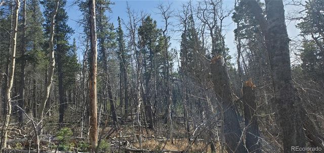 Lot 2560 Grojean Drive, Fort Garland, CO 81133