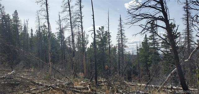 Lot 2560 Grojean Drive, Fort Garland, CO 81133