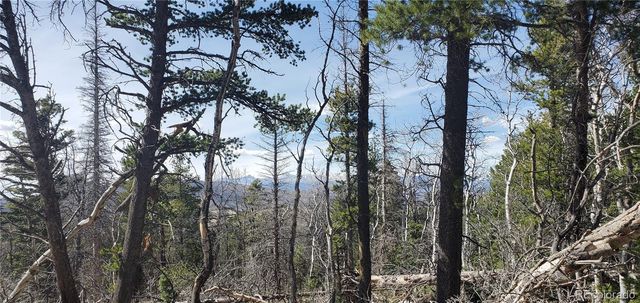 Lot 2560 Grojean Drive, Fort Garland, CO 81133