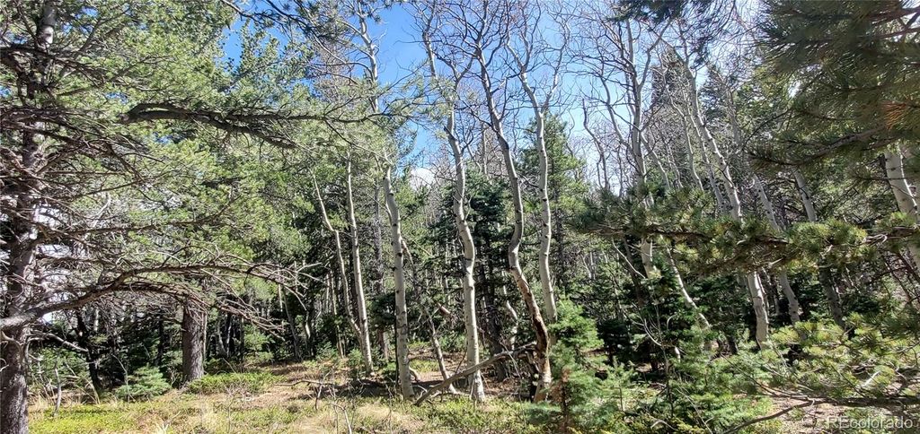 Lot 2560 Grojean Drive, Fort Garland, CO 81133