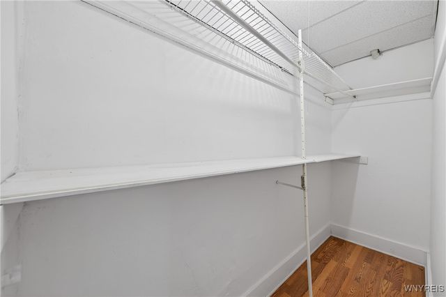 538 East Amherst Street, Buffalo, NY 14215