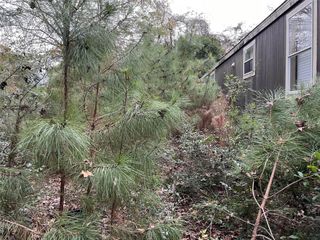 380 Lure Lane, Livingston, TX 77351
