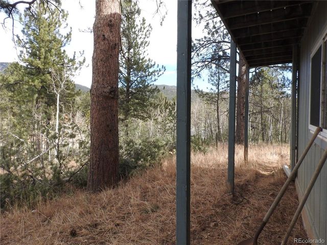 426 Houston St, Bailey, CO 80421