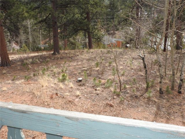 426 Houston St, Bailey, CO 80421