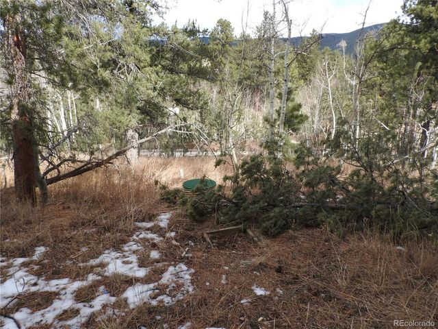 426 Houston St, Bailey, CO 80421