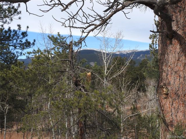 426 Houston St, Bailey, CO 80421