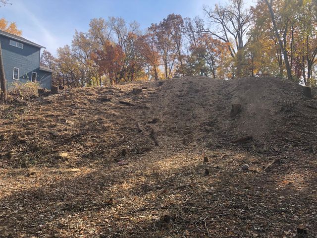 2113 Oakridge Street, Saint Paul, MN 55119