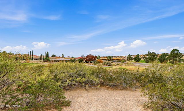 1985 Palm Canyon Drive, Las Cruces, NM 88011