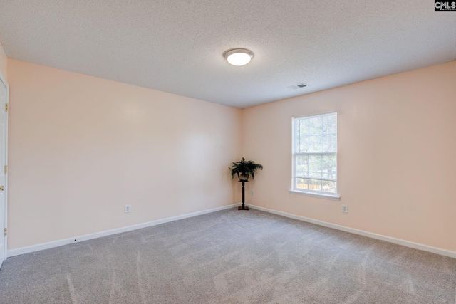 516 Silver Spoon Lane, Elgin, SC 29045