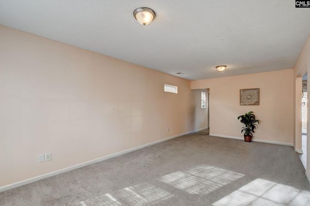 516 Silver Spoon Lane, Elgin, SC 29045