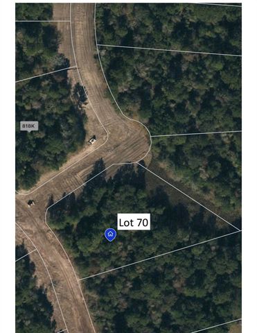 70-21-13 Wagon Pass Drive, Huntsville, TX 77340