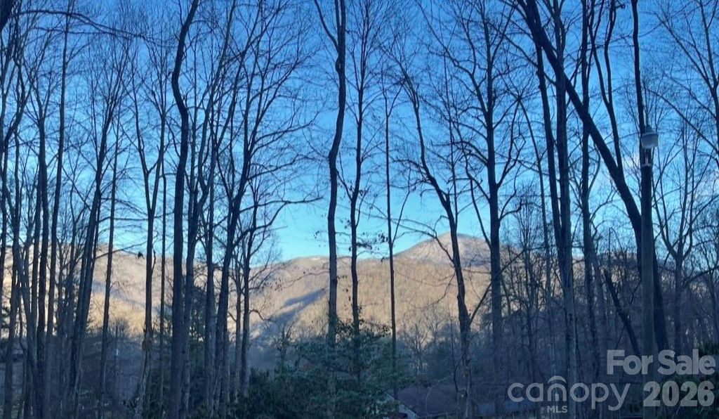 1 Hickory Drive, Maggie Valley, NC 28751