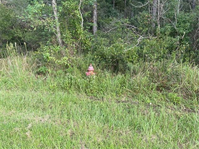 15479 Green Drive, Coden, AL 36523