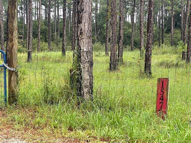 15479 Green Drive, Coden, AL 36523